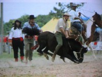 /album/galeria-de-fotos/pedro-henrique-083-jpg/